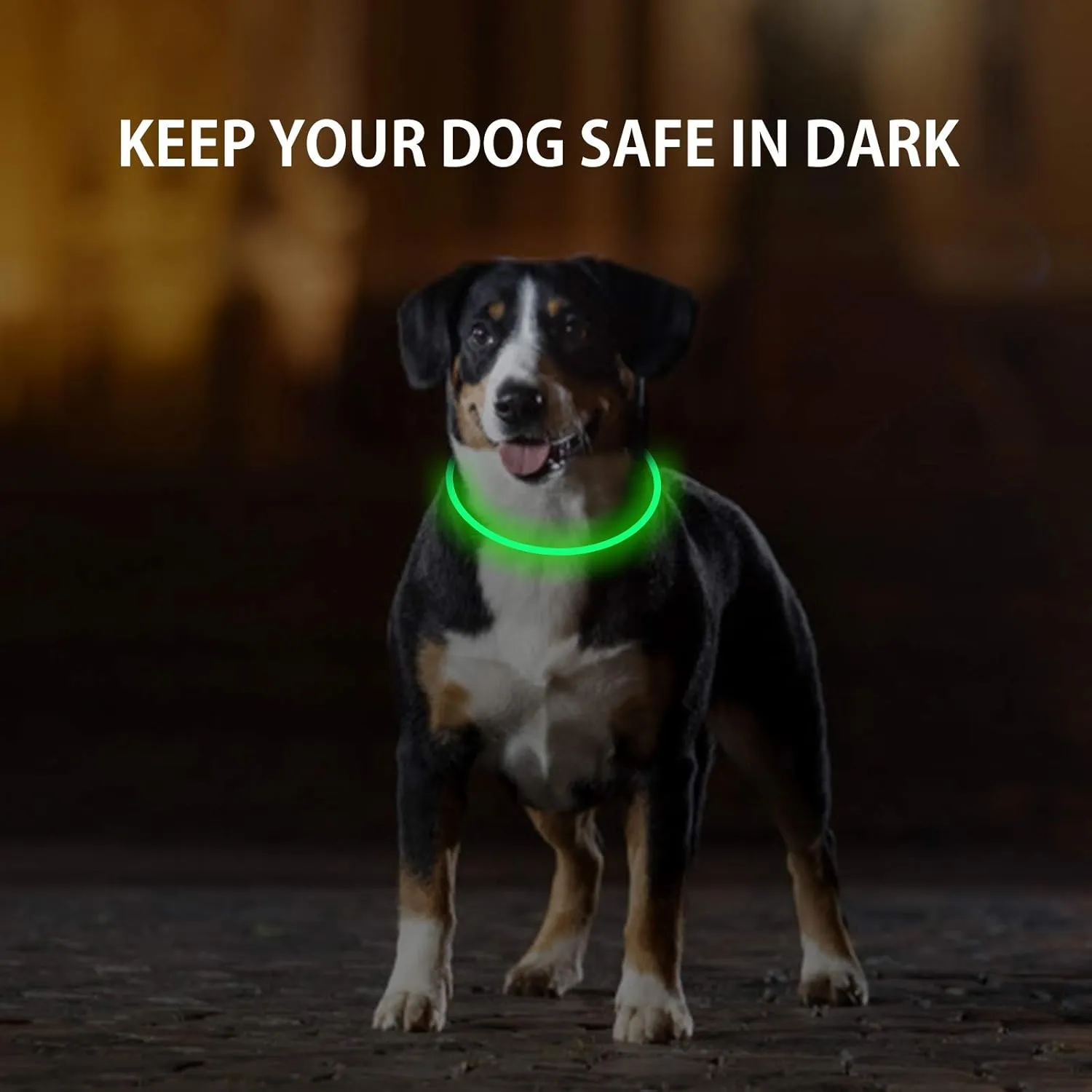 2-Pack LED Dog Collar, Light Up Dog Collars,Rechargeable Dog Lights for Night WalkingUniversal, Reusable Safety Necklace for Small Medium Large Dogs Green&Blue