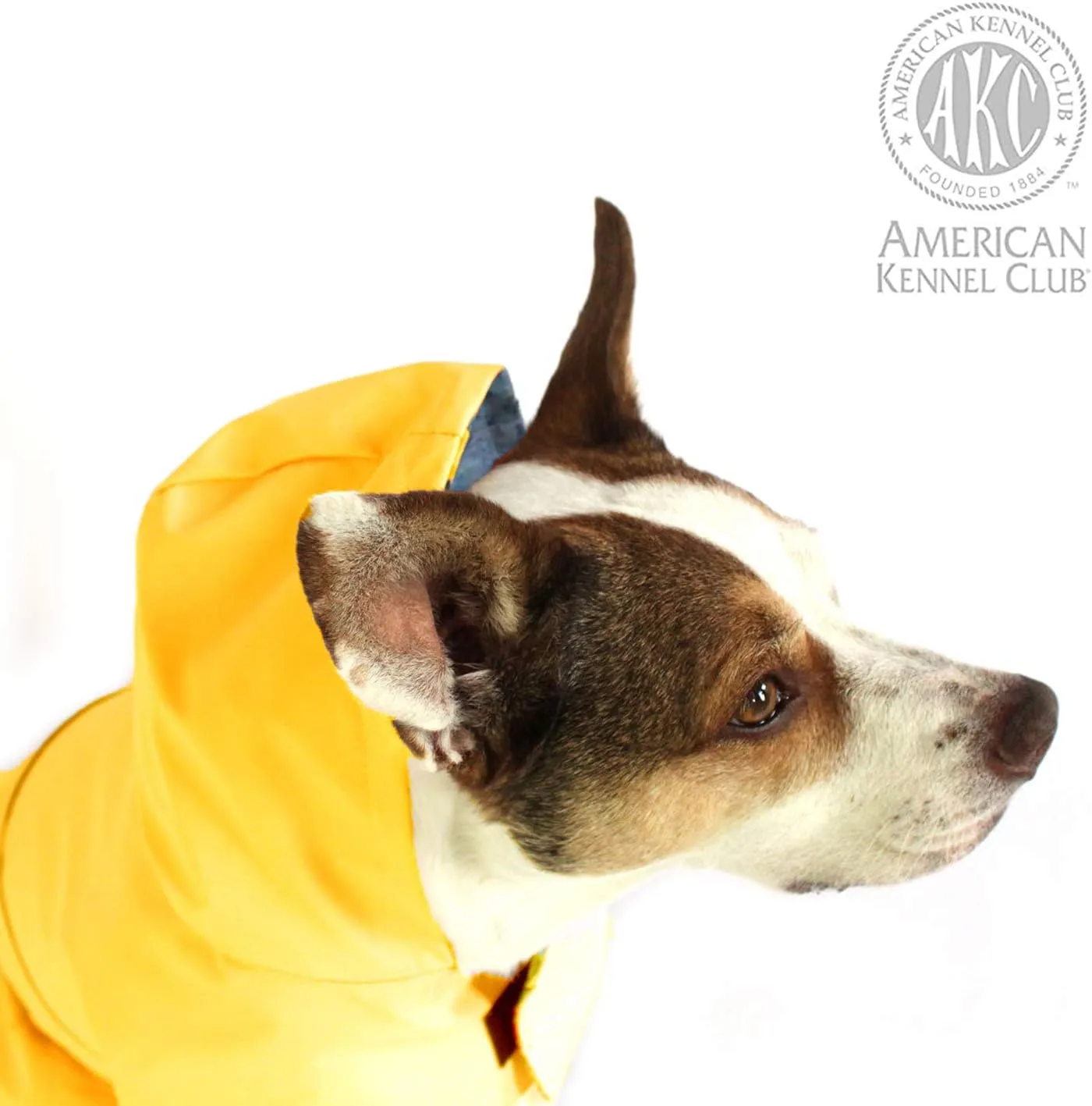 American Kennel Club Yellow Dog Raincoat for Pets