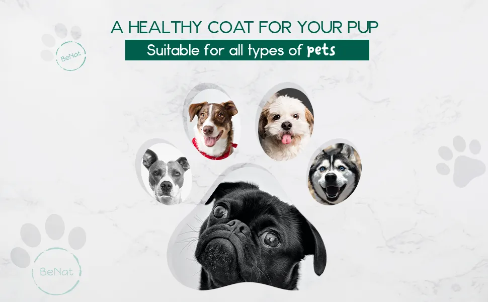 BeNat Pets. All-Natural Pet Shampoo Bar. Oat. 5.8 oz. by BeNat