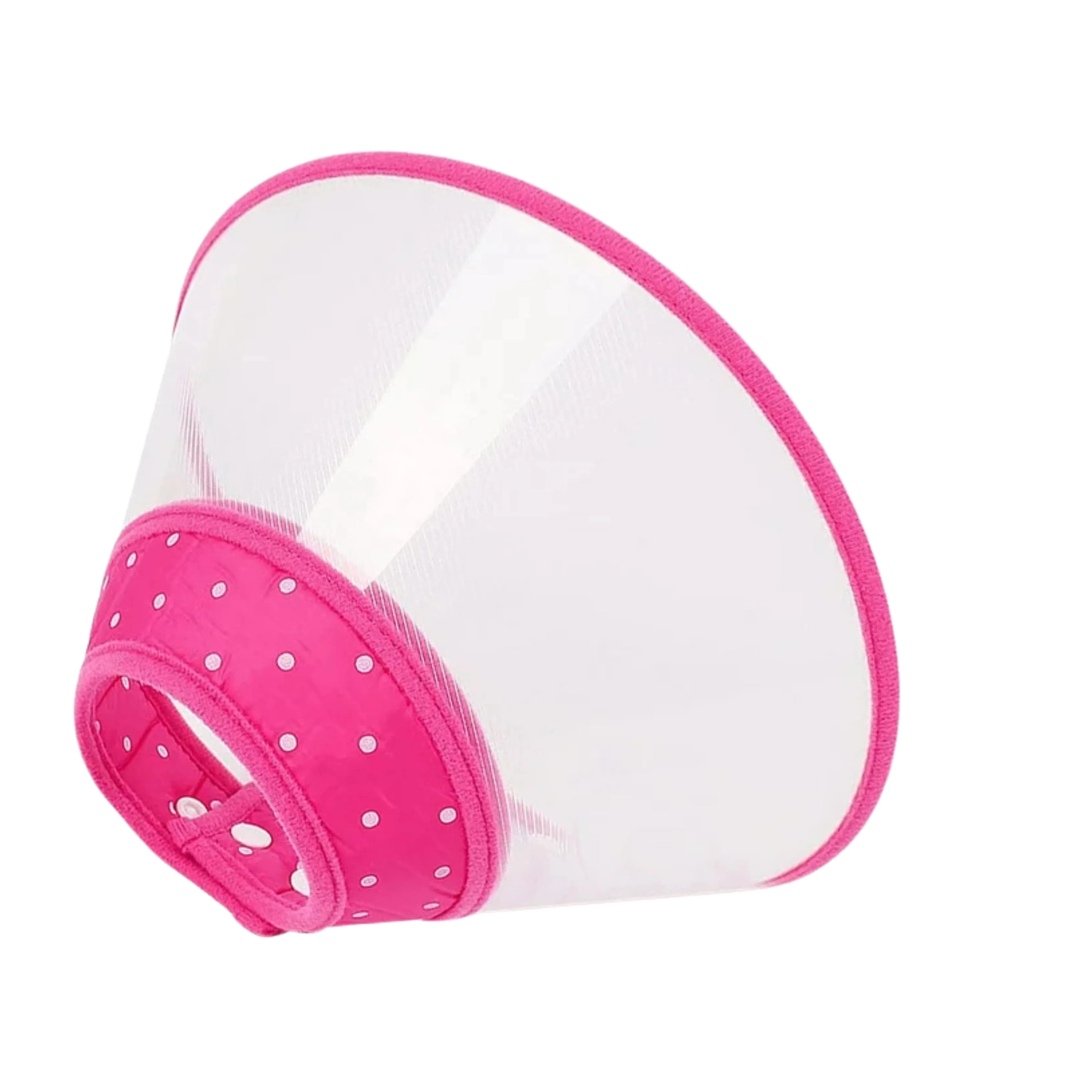 Kitten protective collar