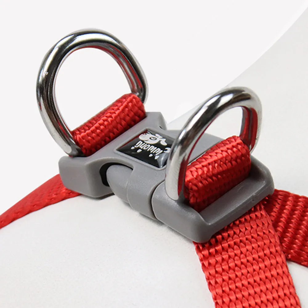 PAWS ASIA Amazon New Hot Sale Luxury Premium Embroidered Pet Harness Leash For Small Dog Cat