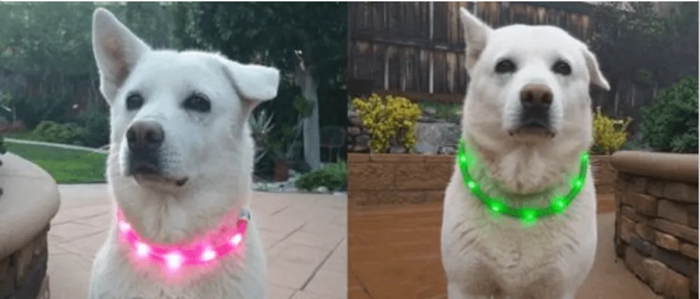 Rechargeable Waterproof LED Flashing Light Band - Night Safety for Dogs