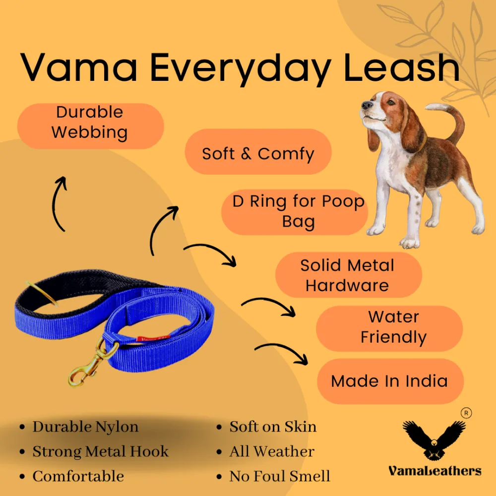 Vama Leathers Super Strong Soft Handle All Weather Leash for Dogs (Electric Blue)
