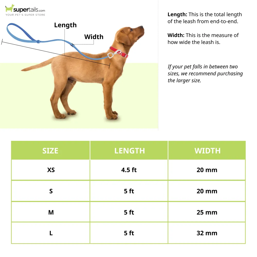 Vama Leathers Super Strong Soft Handle All Weather Leash for Dogs (Electric Blue)