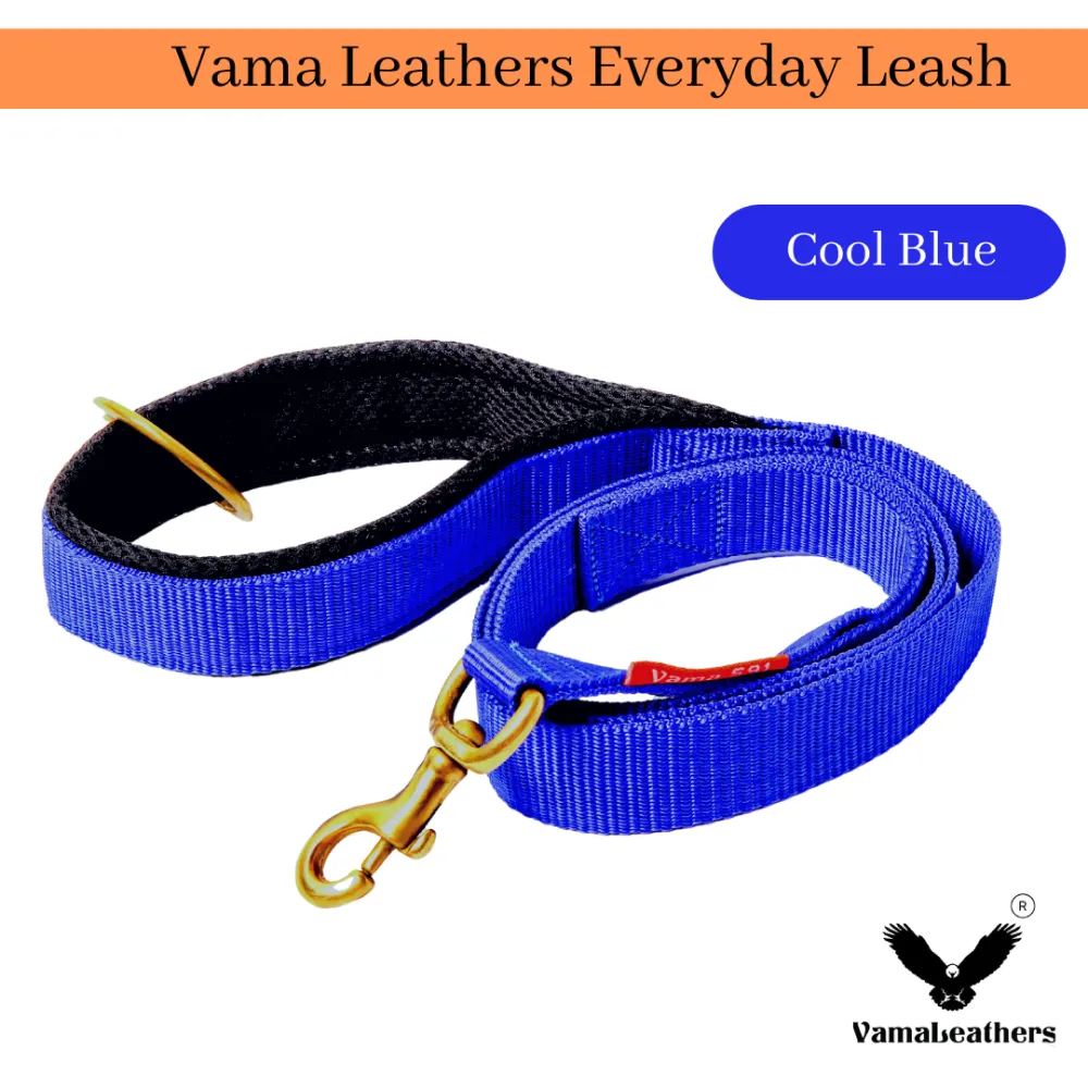Vama Leathers Super Strong Soft Handle All Weather Leash for Dogs (Electric Blue)