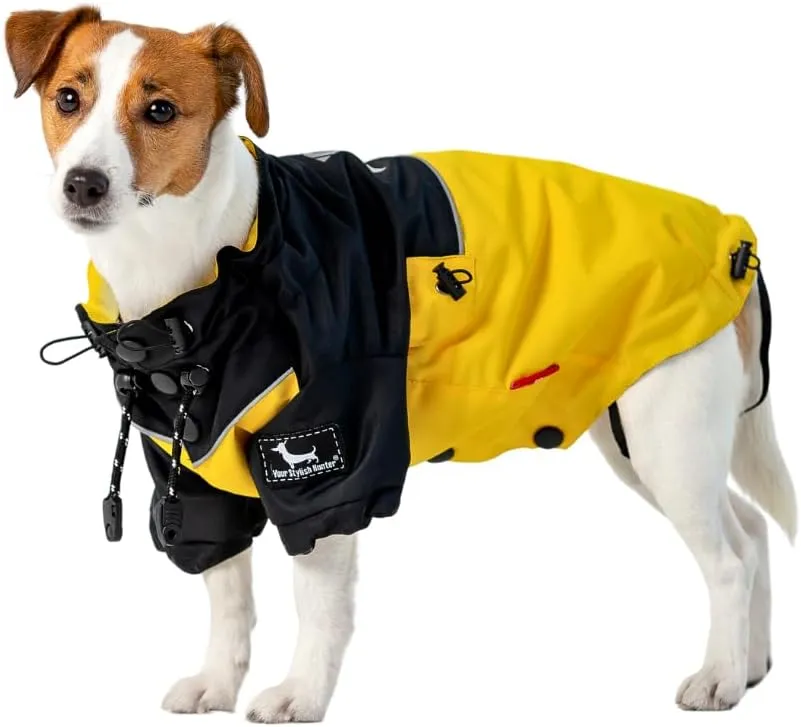 Waterproof Raincoat with Heat Reflective Lining for Small Dogs, Yorkies, Miniature Pinschers, Jack Russell Terriers, Your Stylish Hunter. XL